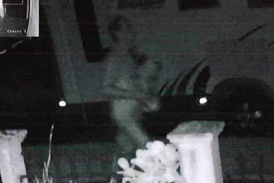 The person police believed to be Jesse Beale walking on Drury Street towards Montague Street in West End carrying unknown items.