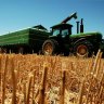 
Investors slashed $410 million off Nufarm’s market valuation on Monday. 
