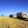 GrainCorp profit dries up, almost halving to $70 million on drought