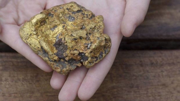 The nugget the Bendigo family found while out for a Mother's Day walk.