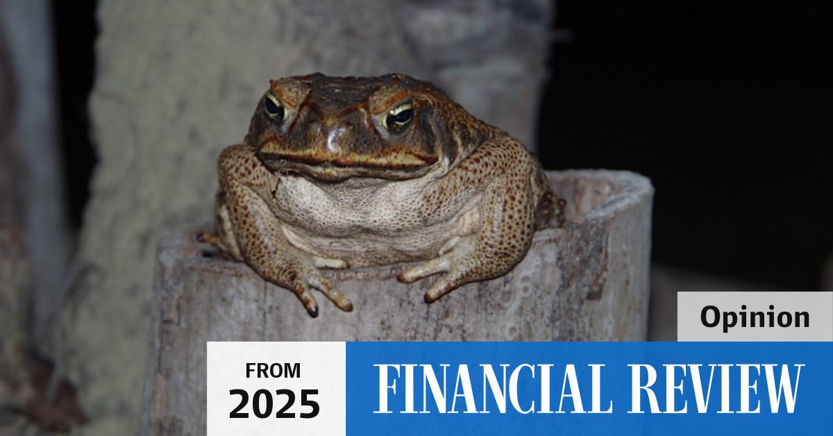 Invasive species are costing $US53b a year, new ‘Nature’ study finds.