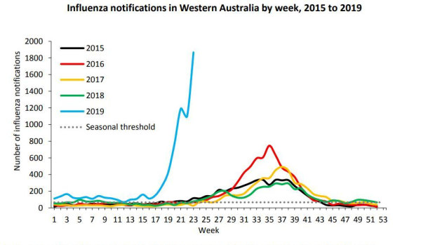 Influenza notifications reported to the WA Health Department in 2019 are dwarfing those of previous years.