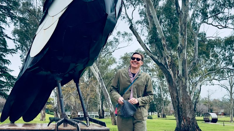 Brisbane man’s defence of ‘aggressive’ magpies nabs him $15,000 prize
