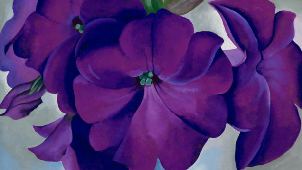 Petunias (1924) by Georgia O’Keeffe