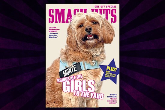 Monte has the blonde, centre-parted hair of a 90s teen heartthrob.