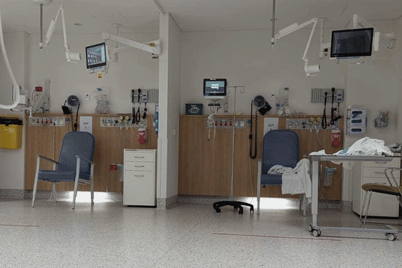 Blacktown Hospital’s emergency department was operating under a “modified format” during the doctors’ strike.