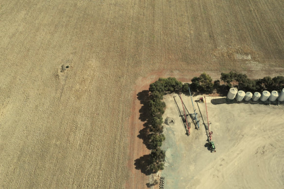 Barley fields in Victoria. Chinese tariffs on Australian barley were lifted in 2024.