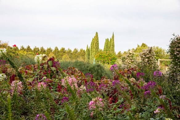 Canning has found newlyweds roaming the luscious gardens taking photos. 