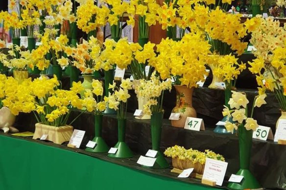 The Leongatha Daffodil Festival in 2019.