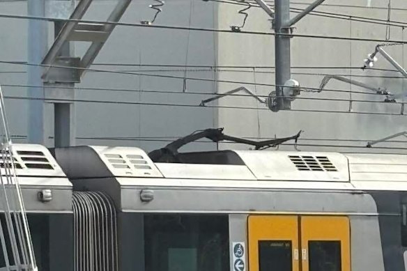 A train was stopped near Homebush after becoming entangled in a live wire, triggering a power outage and trapping commuters inside.