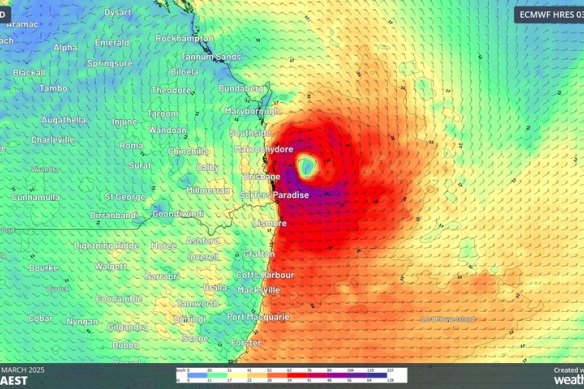 A Weatherzone forecast of the wind Cyclone Alfred was expected to produce.