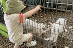 Health officials are warning families to stay vigilant after two young children were hospitalised after picking up a dangerous bacterial infection from farm animals at a petting zoo.