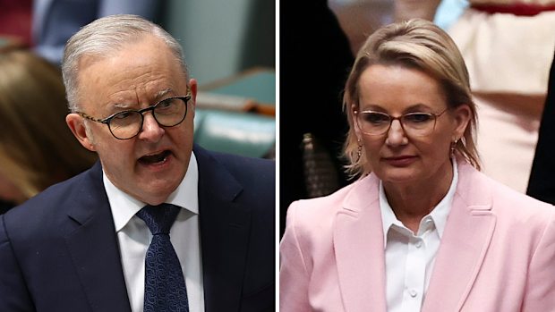 Anthony Albanese and Sussan Ley in first question time.