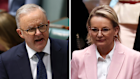 Anthony Albanese and Sussan Ley in first question time: It’s only to be expected that the Labor Party makes government bigger. Liberals are meant to be different - but in practice they’re not.