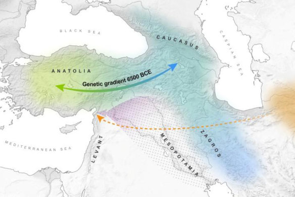 Anatolia (present-day Turkey), the Northern Levant and the Southern Caucasus showing possible migration more than 4000 years ago.