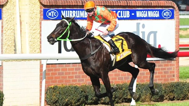 Local hope: Noble Descent appears the horse to beat in the Rodney Parsons OAM Handicap.