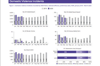 Year-on-year comparison of domestic violence offences
