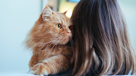 We share our lives and our homes like never before but for many who experience the loss of a beloved animal, the depth of that loss is not recognised as a “real” grief.