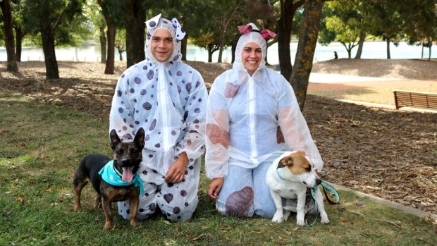 The Million Paws Walk in Canberra will also be a chance to beat the world record for the largest gathering of people dressed as dogs.