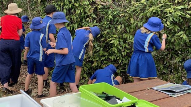 Parents were asked not to bring students to Tamborine Mountain State School because the school bore has run out of water.