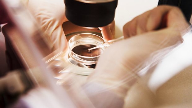 Monash IVF is Australia’s second biggest fertility clinics group with an estimated 25.3 per cent market share. 