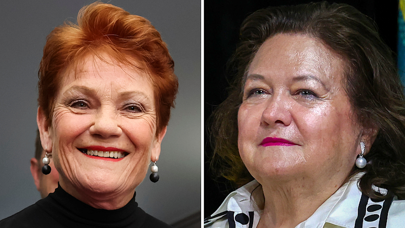 Pauline Hanson gushes over Gina Rinehart’s planes after free flights