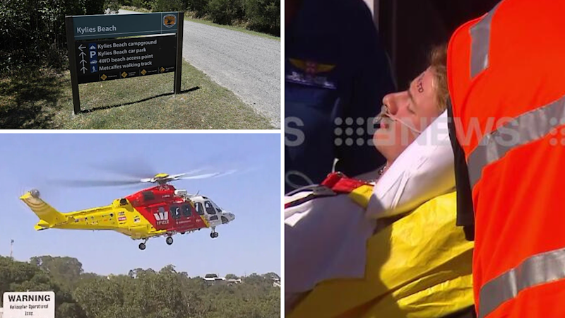 I’ve been ocean swimming for 40 years; I know where the sharks are