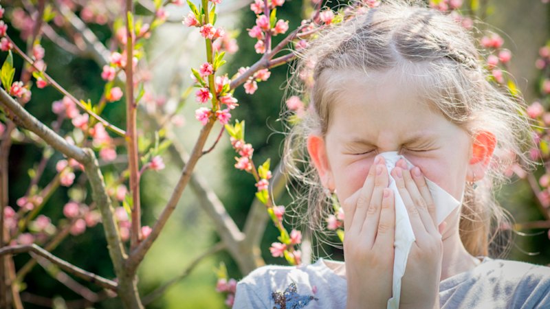 ‘Be prepared’: Victorians warned of thunderstorm asthma risk ahead of intense pollen season