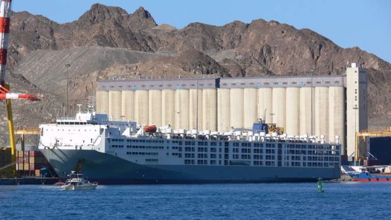 Death ship: The live export ship  Maysora.