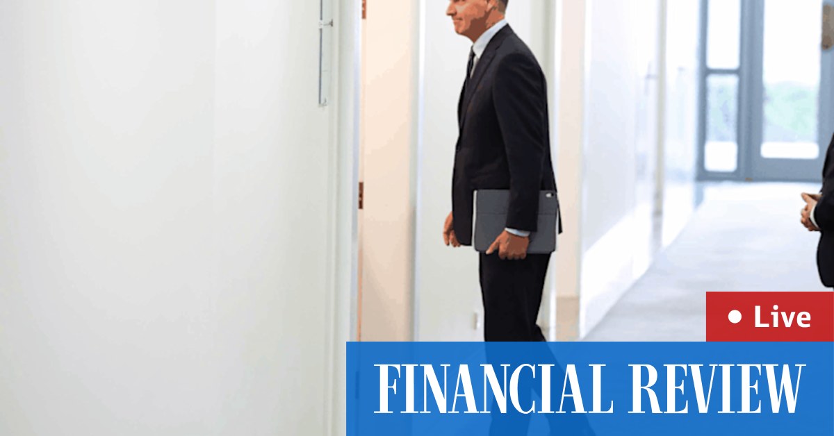 Pauline Hanson says One Nation will contest in Ley’s seat of Farrer; Labor jumps on leadership tumult; Tim Wilson tipped for shadow treasurer. Follow live.