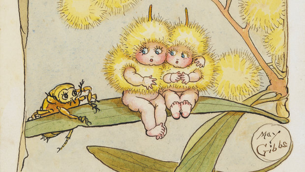 May gibbs gumnut shop babies