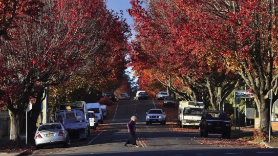Regional areas of NSW have become more popular due to the pandemic.
