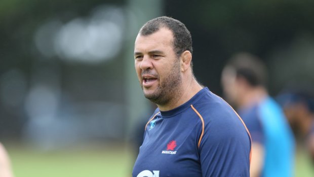 ‘It’s not the time’: Cheika pours cold water on Waratahs return