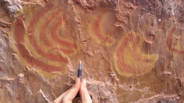 'Spine-tingling' Indigenous rock art saved from destruction