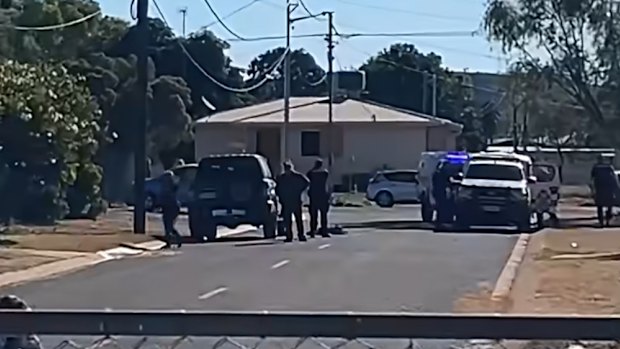 Police said officers hit the dog accidently. 