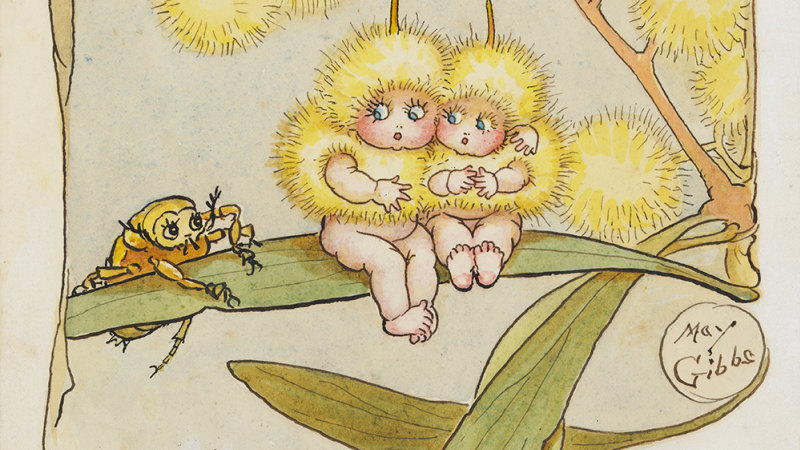 cuddlepie and snugglepot