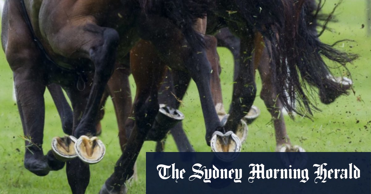 Race-by-race preview and tips for Queanbeyan on Monday