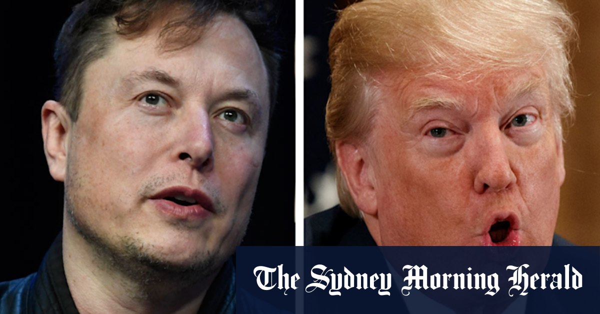 Trump the key part of Musk's $61b Twitter investment - Vimarsana News