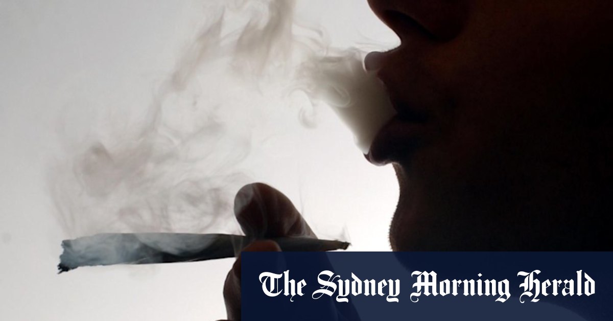 Qld Labor members' call for cannabis to be legalised stubbed out - Vimarsana News