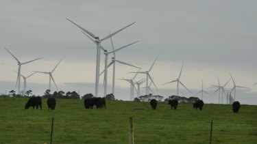 The Macarthur Wind Farm in Victoria drew the attention of parts of the private sector.