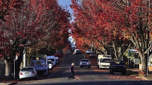 Regional areas of NSW have become more popular due to the pandemic.