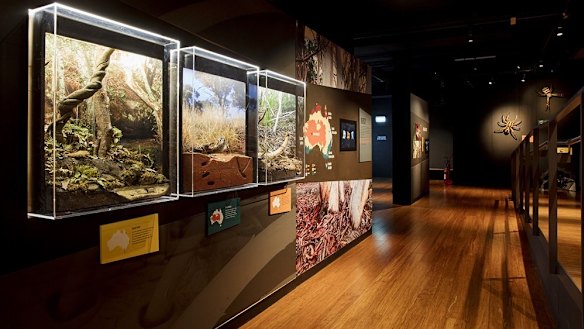 Spiders - The Exhibition.