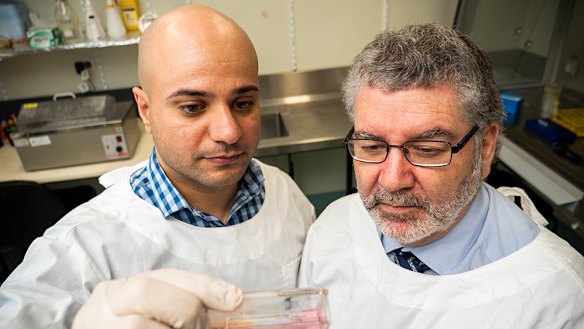 Professor Nigel McMillan (right) and Dr Luqman Jubair have been developing a way to edit the genes of cervical cancer cells to eradicate them.