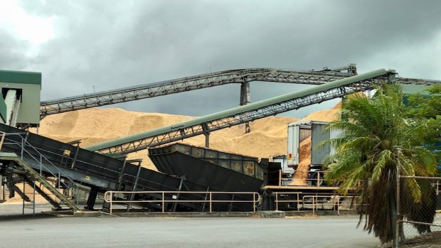 The grain terminal at the Port of Brisbane.