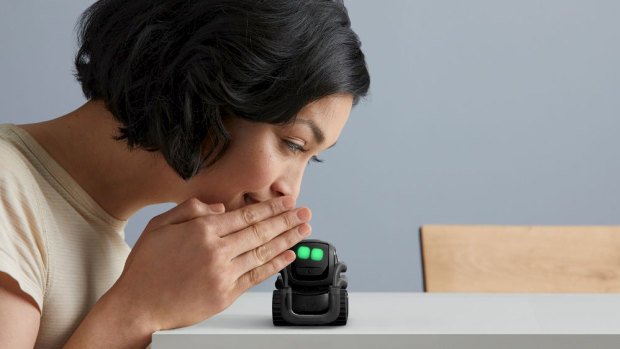Vector responds to you when you talk to it, and can even learn to recognise your voice.