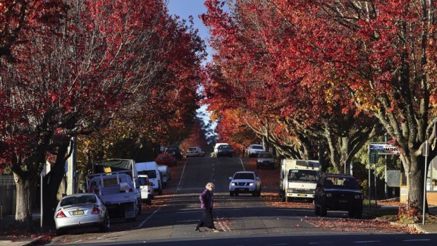 Regional areas of NSW have become more popular due to the pandemic.