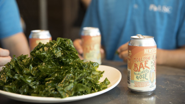 The ulva farm-grown seaweed from the University of the Sunshine Coast's Bribie Island facility used by Newstead Brewing Co to make seaweed beer