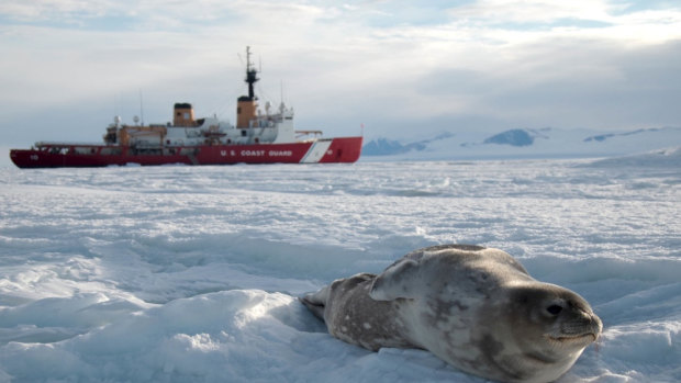 A seal lay on the ice in front of the Coast Guard Cutter Polar Star while the ship is hove-to in the Ross Sea near Antarctica.