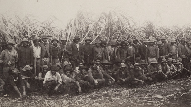 South Sea Islanders were brought to Australia to work the Queensland cane fields in one example of slave-like practices employed in Australia.