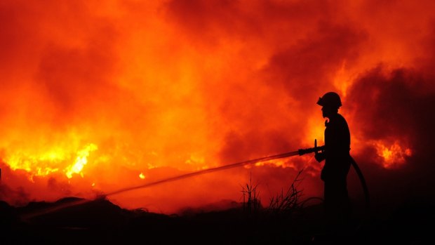 "Both the physical impact of climate change and the transition [off fossil fuels] are likely to have first-order economic effects" on Australia, Dr Debelle said in his speech.